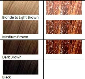 Auburn hair chart for henna hair dye